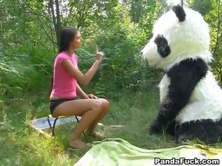 X 定格の ビデオ で ザ· 森 ととも​​に a 巨大な おもちゃ panda